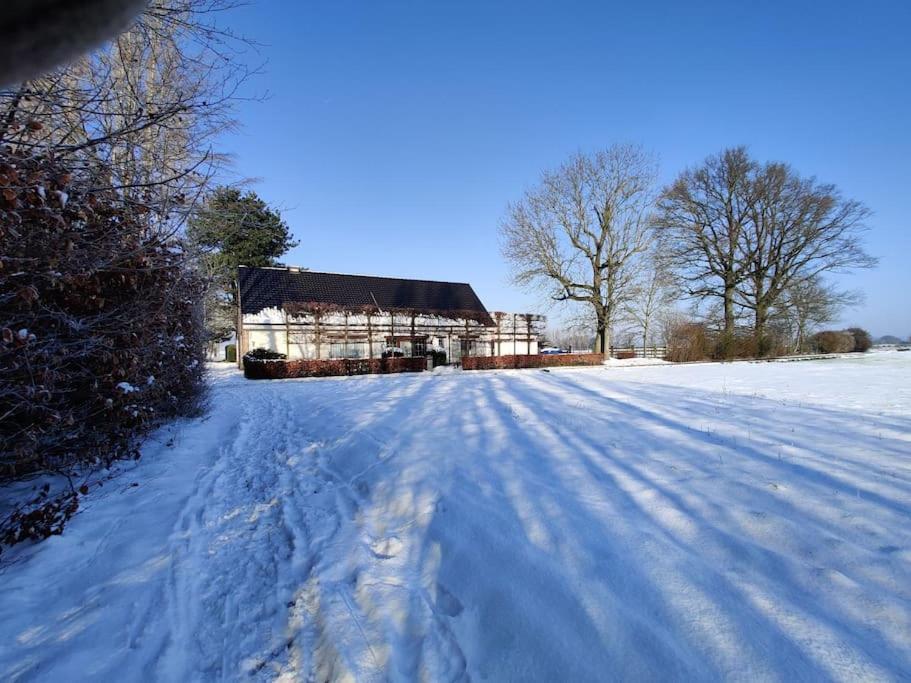 The Horst Cottage 霍尔斯贝克 外观 照片